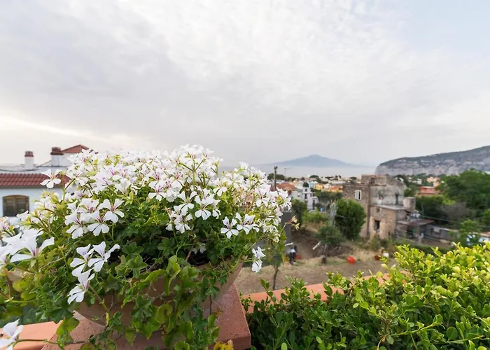 Shanti Home Sorrento